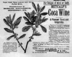 Coca Wine From Fresh Coca Leaves And The Purest Wine by Theodore Metcalf CO