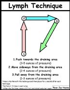 lymph MLD Technique