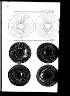 iridology 007