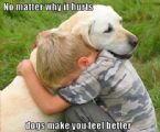 dog makes it feel better