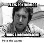 plays pokemon go nfindsakookookachu he is the walrus 3055326