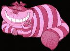 alcheshire cat