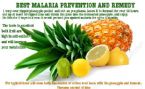 MALARIA REMEDY