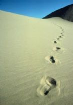 footprints