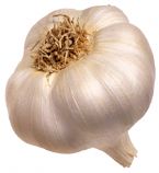 garlic ... (Click to enlarge)