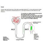 cast illus 22oct11