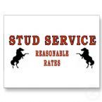 tn stud service