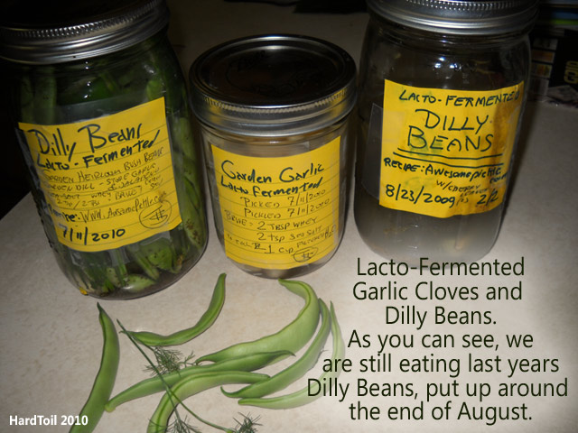 //www.curezone.org/upload/_N_Forums/Natural_Heali/Garlic_Dilly_Beans_6390_640.jpg