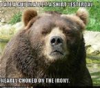 ChokedOnTheIronyBear