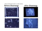 Crystals before and after bioenergy