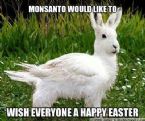 HappyEasterMonsantoStyle