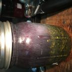 Tincture jar growth?