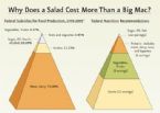 why a salad costs more than a big mac - government subsides