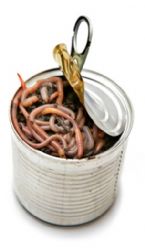 can of worms