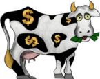 cashcow1