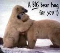 images bear hugs