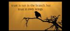 TRUST IN OWN WINGS2