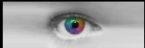 EYE COLORED RETINA 680 x 225