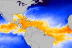 Surface Sea Temps at Start of 2010 Hurricane Season NOAA