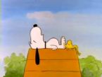 snoopy