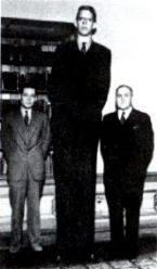 Robert Wadlow 2 ... (Click to enlarge)