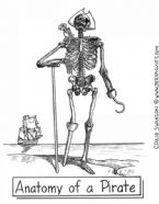 Pirate anatomy ... (Click to enlarge)