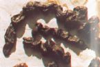 Mucoid Plaque. Photo from Dr. Jensen's  Bowel Man ... (Click to enlarge)