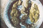 Mucoid Plaque. Photo from Dr. Jensen's  Bowel Man ... (Click to enlarge)