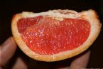 grapefruit ... (Click to enlarge)