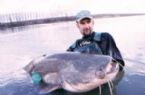 Largest Cat Fish I cot ... (Click to enlarge)