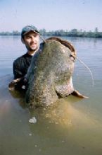 Largest Cat Fish I cot ... (Click to enlarge)