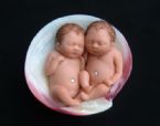 Amazing Miniature Babies by Camille Allen ... (Click to enlarge)