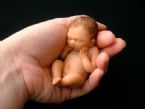 Amazing Miniature Babies by Camille Allen ... (Click to enlarge)