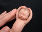 Amazing Miniature Babies by Camille Allen ... (Click to enlarge)