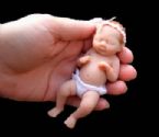 Amazing Miniature Babies by Camille Allen ... (Click to enlarge)