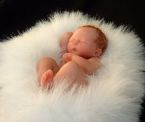 Amazing Miniature Babies by Camille Allen ... (Click to enlarge)