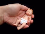 Amazing Miniature Babies by Camille Allen ... (Click to enlarge)