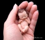 Amazing Miniature Babies by Camille Allen ... (Click to enlarge)