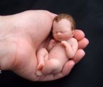 Amazing Miniature Babies by Camille Allen ... (Click to enlarge)