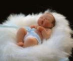 Amazing Miniature Babies by Camille Allen ... (Click to enlarge)