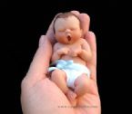 Amazing Miniature Babies by Camille Allen ... (Click to enlarge)