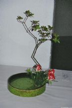 Ikebana, Traditional Japanese Art ... (Click to enlarge)