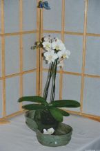 Ikebana, Traditional Japanese Art ... (Click to enlarge)