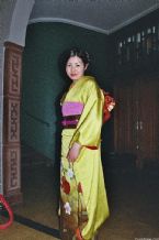 Kimono, Traditional Japanese Costumes ... (Click to enlarge)