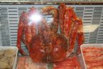 King Crab, Chatka-Crab, Open Market, Petropavlovs ... (Click to enlarge)